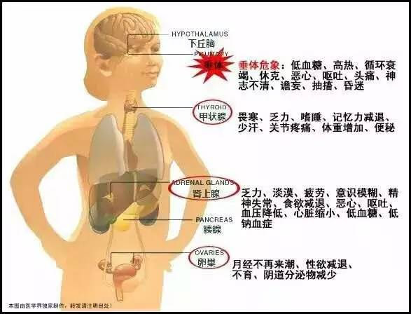 8月5日15:35分,急诊科门诊来了一个面容憔悴,贫血貌以"全身乏力5天"
