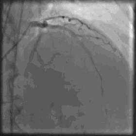 1-2112201A55J06.gif